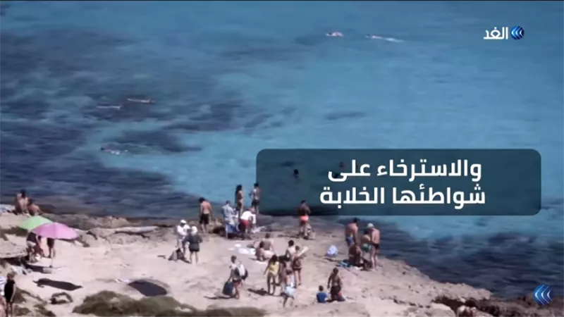 تقرير يتجول في جزيرة 