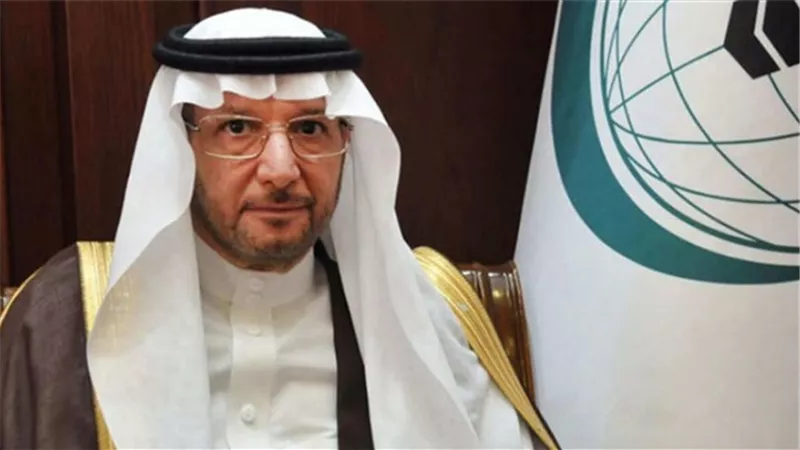 منظمة التعاون الإسلامي تدعم مصر في جهودها لمكافحة الإرهاب