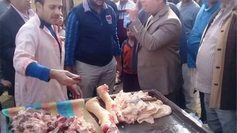 ضبط 250 كيلو لحوم غير صالحة للاستهلاك الآدمي بسوهاج
