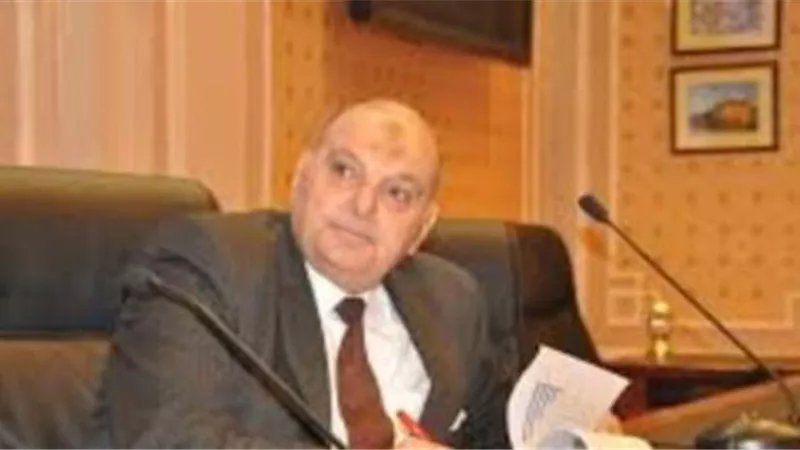كمال عامر .. مصر تواجه تحديات كبيرة تتطلب تكاتف الجميع