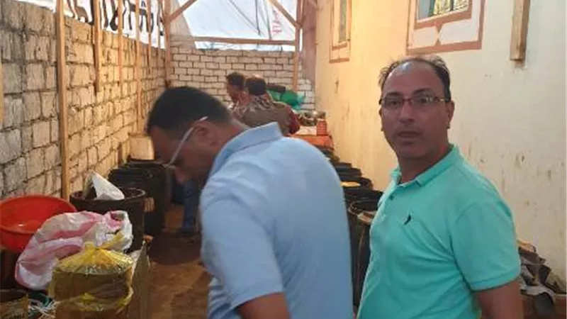 ضبط ٦طن فسيخ وسردين بالديدان في البحيرة