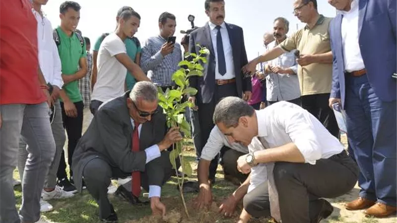 رئيس جامعة القناة يغرس أشجار مثمرة احتفالا بأكتوبر ..صور