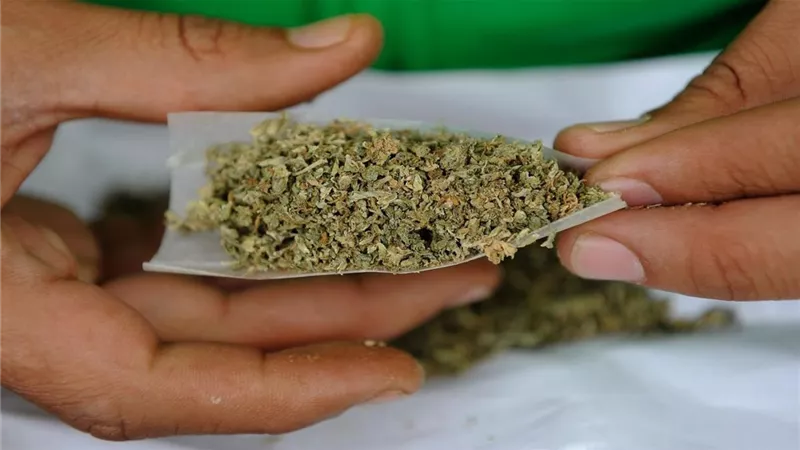 منتهى الانضباط ...مقهى الحشيش بهوليود لايفتح ابوابة الا لمن تجاوز الـ 21عاماً فقط