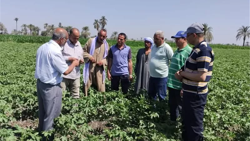الزراعة: تنفيذ 1875 نشاطا إرشاديا استفاد منها 43 ألف مزارع