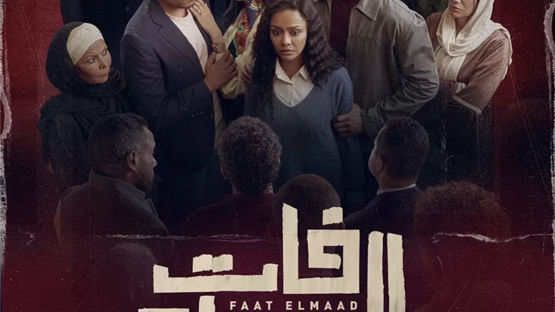 السيناريست محمد فريد :