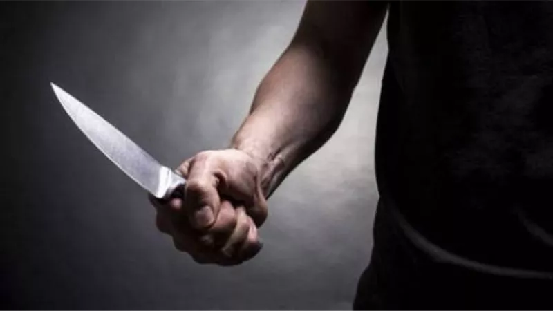 تجديد حبس فكهاني قتل زوجته لشكه في سلوكها بالطالبية
