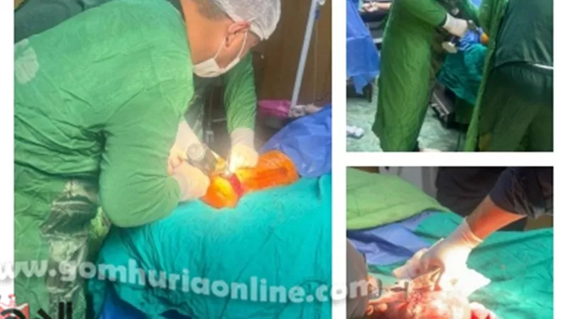جمعية زاجل تطالب محافظ المنوفية بتكريم أطباء مستشفى قويسنا