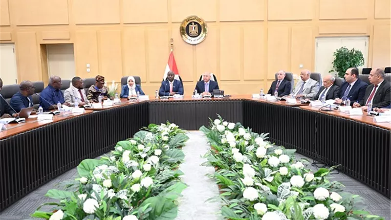 مصر وسيراليون تبحثان تنفيذ مشروعات نقل مشتركة