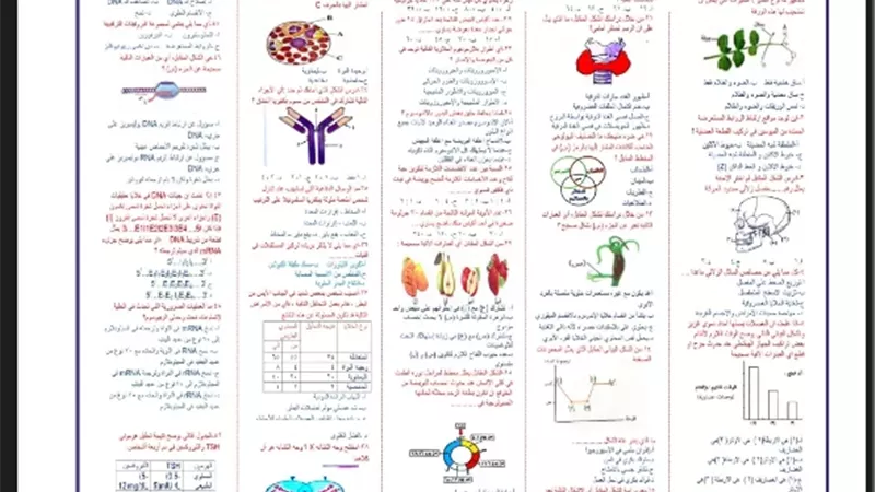 مراجعة ليلة الامتحان في الأحياء لطلاب الثانوية العامة
