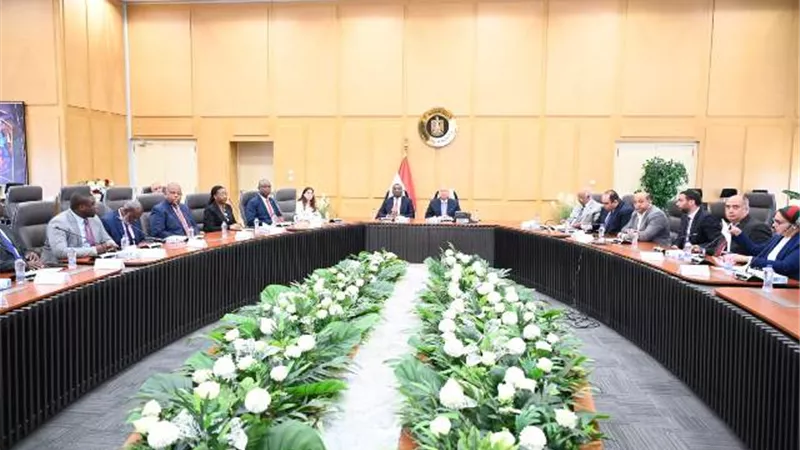مصر والكونغو تبحثان تعزيز التعاون في مجالات النقل والبنية التحتية
