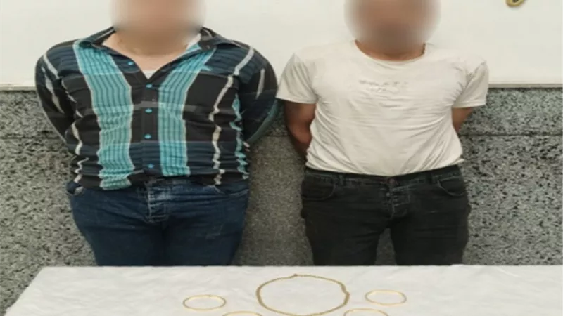 القبض على مرتكبى واقعتى سرقة بالقاهرة