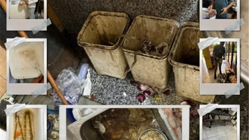 صحة القليوبية تضبط أغذية فاسدة وتوصي بغلق 3 منشآت غذائية بالعبور