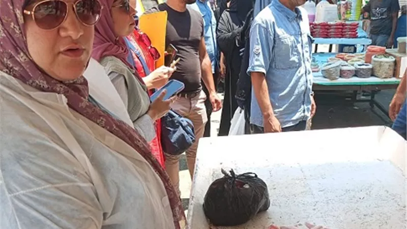 ضبط دواجن نافقة وتباع ذبح اليوم بسوق الزهور ببورسعيد