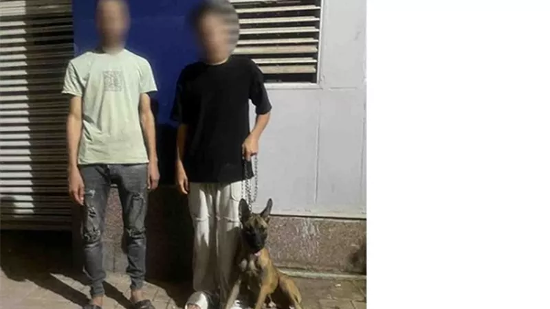 ضبط شخصين يمارسان أعمال البلطجة وترويع الأطفال بإستخدام كلب