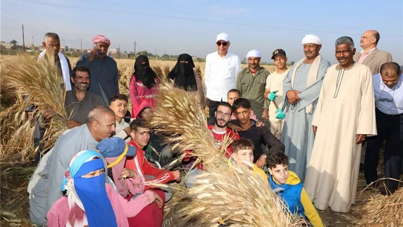 استخراج 438 ألف كارت فلاح وتوزيع 95 ألف طن أسمدة بالمنيا