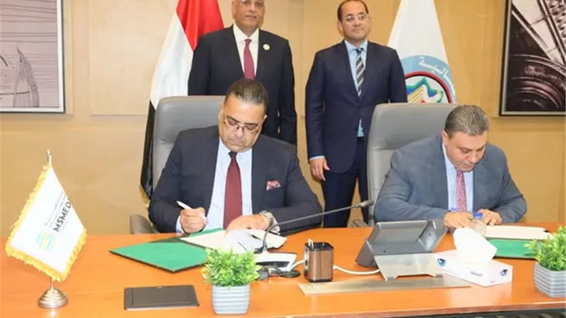 وزير المالية: تخصيص 5 مليارات جنيه أكبر مساندة اقتصادية للمشروعات