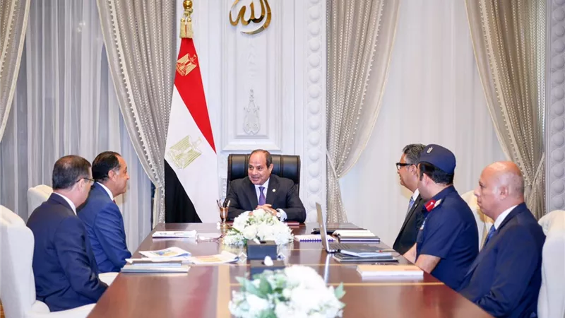 الرئيس يؤكد أهمية التنسيق بين أجهزة الدولة المعنية بالأمن الغذائى