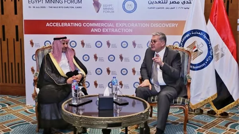 وزير البترول يبحث التعاون مع السعودية في قطاع التعدين