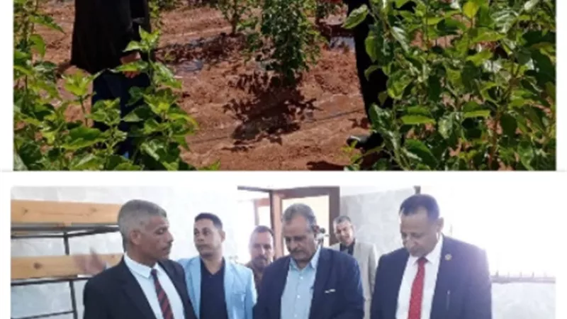 أول مركز قومي لإنتاج الحرير الطبيعي بالوادي الجديد