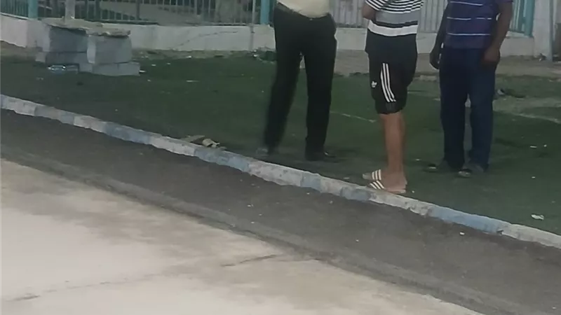 استاد قنا الرياضي..إنجازات متتالية وبطولات في مختلف الألعاب