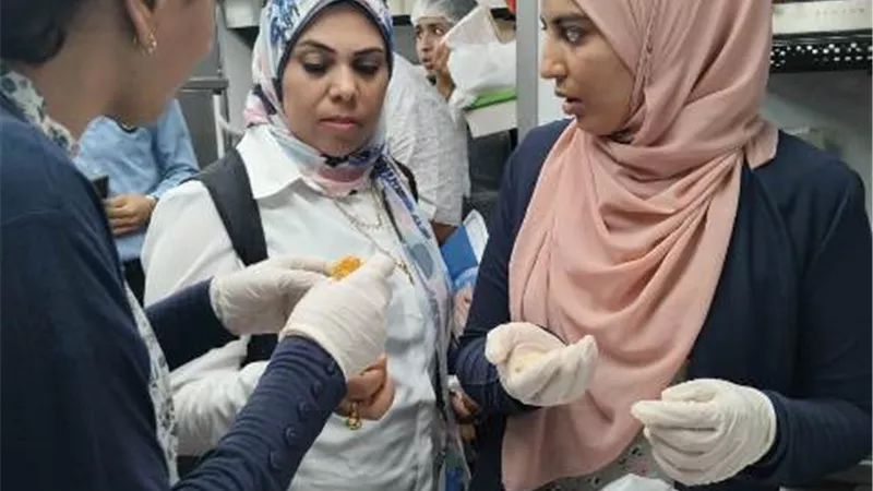 تشديد الرقابة على الأسواق والمنشآت الغذائية بمطروح