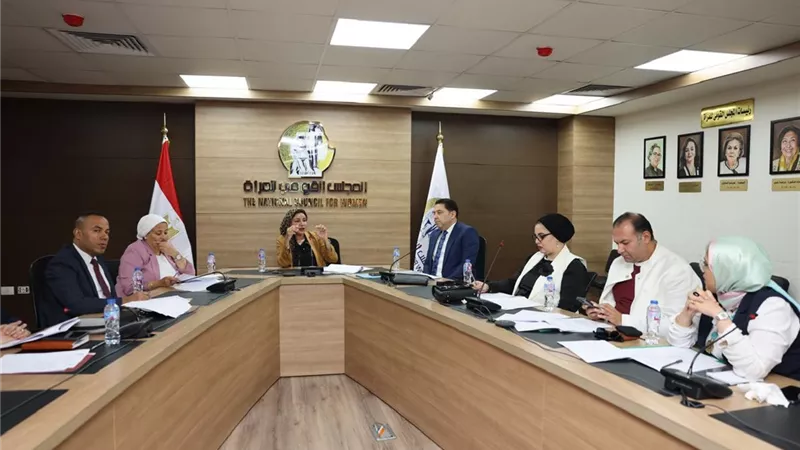لجنة المحافظات بالقومى للمرأة تناقش خطة عملها خلال الفترة المقبلة