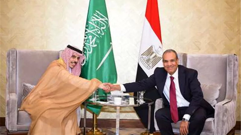 وزير الخارجية والهجرة يستقبل نظيره السعودي بمدينة العلمين