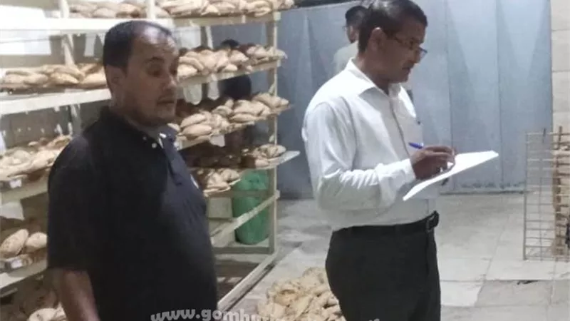 208 محضر مخالفات مخابز وأسواق وضبط 3 طن ونصف أعلاف وأسماك مجهولة