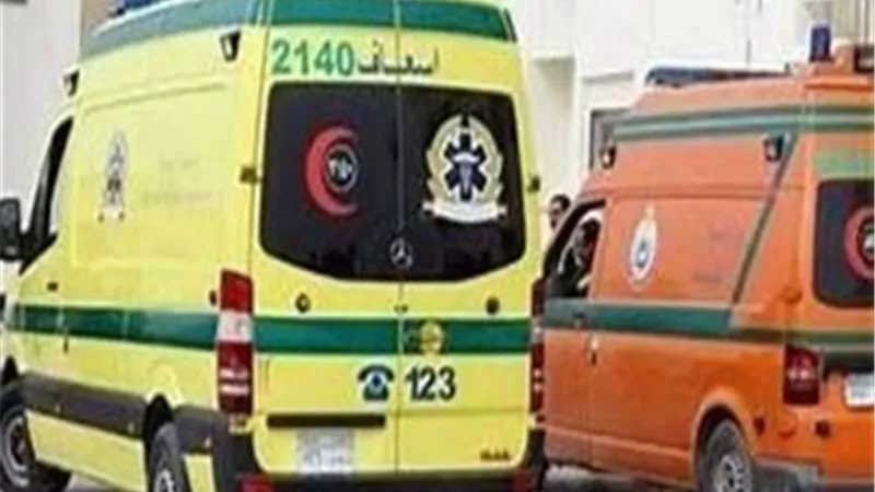 إصابة 10 أشخاص في انقلاب سيارة ملاكي أعلى الدائري بالقليوبية