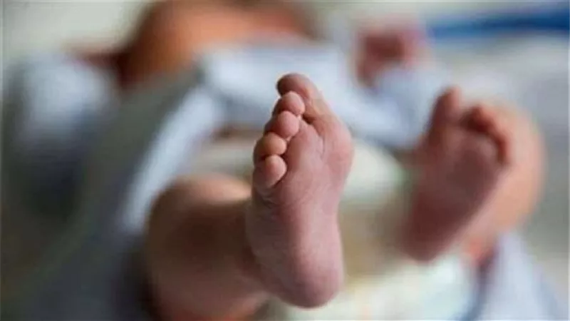 مدمن يقتل نجل شقيقه الطفل ويلقى الجثه بالزراعات فى كفرالشيخ