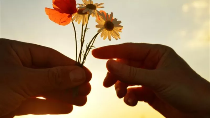 من محاسن الأخلاق المنسيه فى الإسلام ( الإيثار)