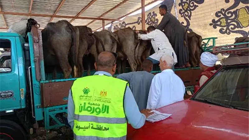 انشاء عدد (50) وحدة مشروع البيوجاز بمحافظة اسيوط