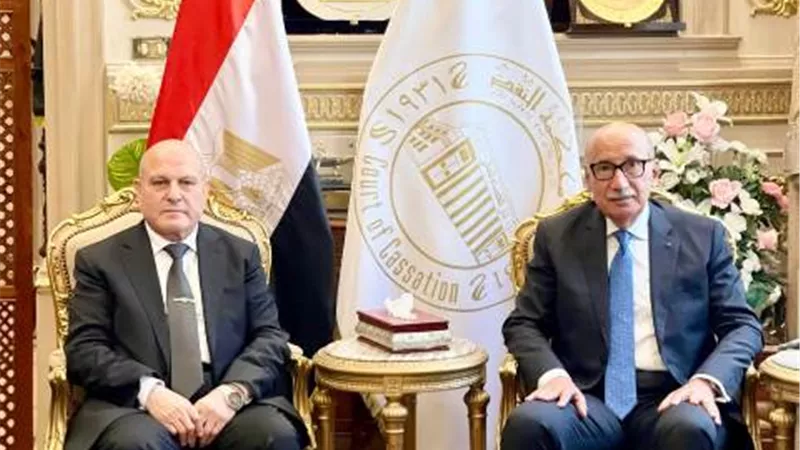رئيس هيئة النيابة الإدارية يهنئ رئيس محكمة النقض بتوليه منصبه