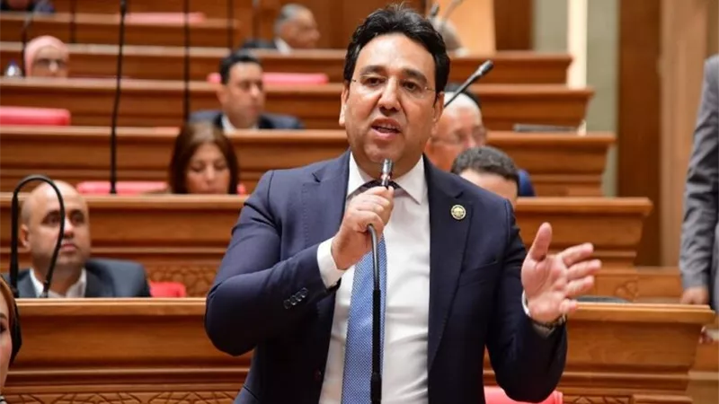 أيمن محسب : حلقة جديدة في سلسلة استهداف الدولة