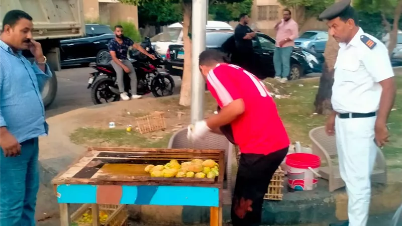 بوابة الجمهورية