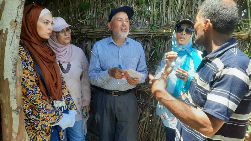 التسوية بالليزر.. لتعزيز محصول الأرز وترشيد المياه بالمعمورة