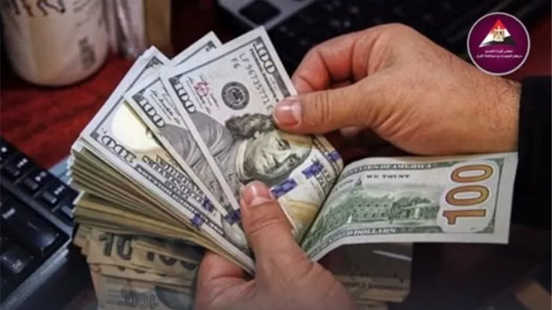 ارتفاع تحويلات المصريين العاملين بالخارج لـ32.8 مليار دولار (إنفوجراف)