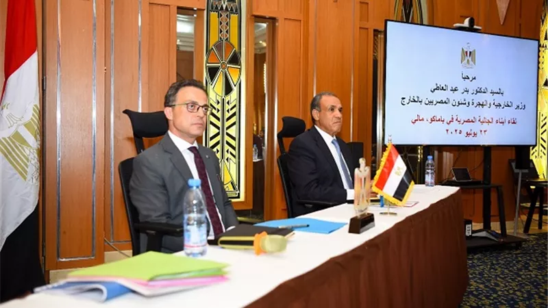 لقاء الجالية المصرية في مالي.. وزير الخارجية والهجرة يستمع لتحديات المغتربين