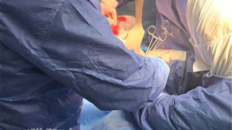 إنقاذ شاب عشريني بمستشفى السادات المركزي بعد حادث مروّع