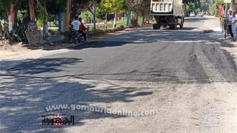 تنفيذ أعمال الإصلاح والترميم للقطوعات بطريق دمياط المنصورة الشرقى