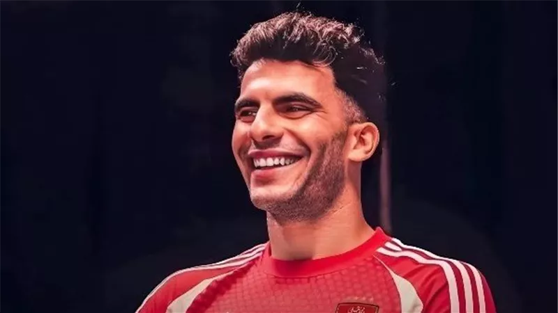 جمال عبد الحميد : 