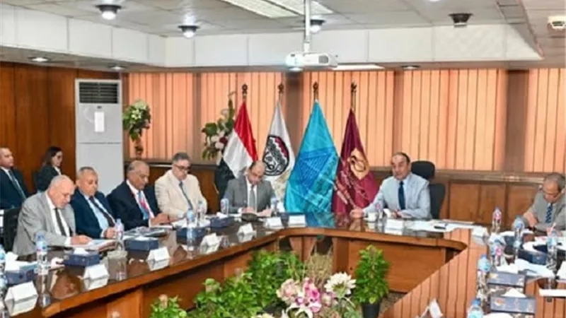 شيمي: مشروعات عقارية نوعية وتوسع خارجي لتعزيز العوائد الاستثمارية