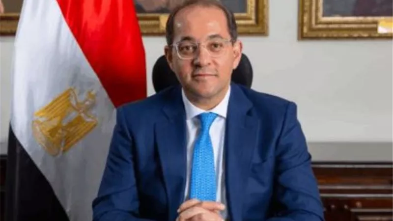 كجوك: توسيع دور المؤسسة الإسلامية في تمويل مشاريع تنموية داخل مصر