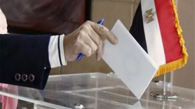 الجمعة.. موعد إجراء انتخابات مجلس الشيوخ للمصريين في الخارج