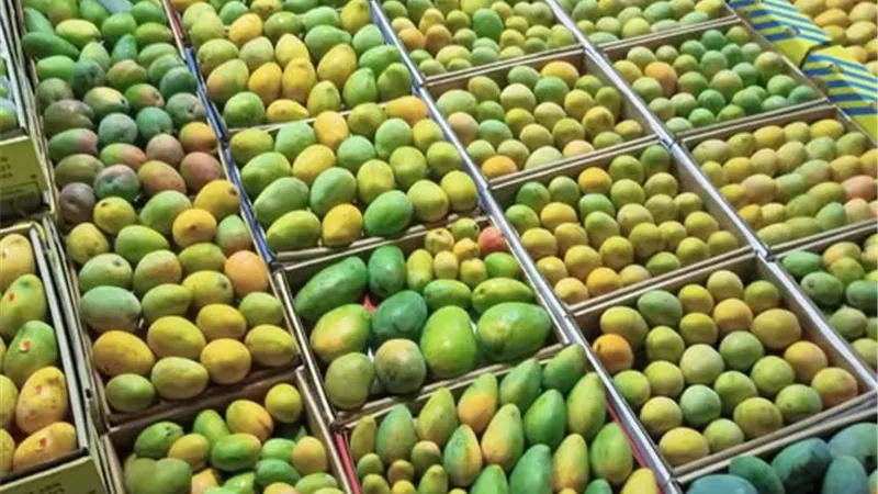 20 جنيها للكيلو..انخفاض حاد لأسعار المانجو بأسواق الإسماعيلية