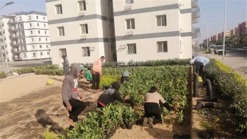بوابة الجمهورية
