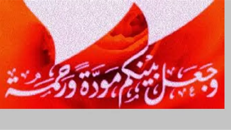 الدكتور عطية لاشين: الحقوق المعنوية في الزواج أهم من المادية