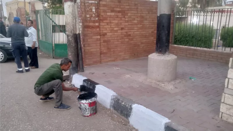 تجميل وتطوير شوارع صدفا في أسيوط..صور