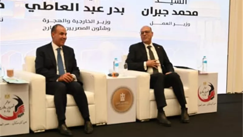 وزير العمل: حريصون على مواجهة كافة مشاكل العمال المصريين بالخارج