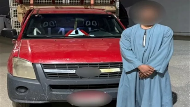 ضبط سائق تعدى على عامل بالسب وحاول ضربه بعصا خشبية فى الفيوم